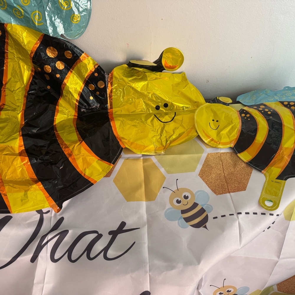 What Will Baby Bee 🐝 Gender Reveal Party Decorations
